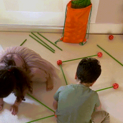 Onni Ehitamise Komplekt